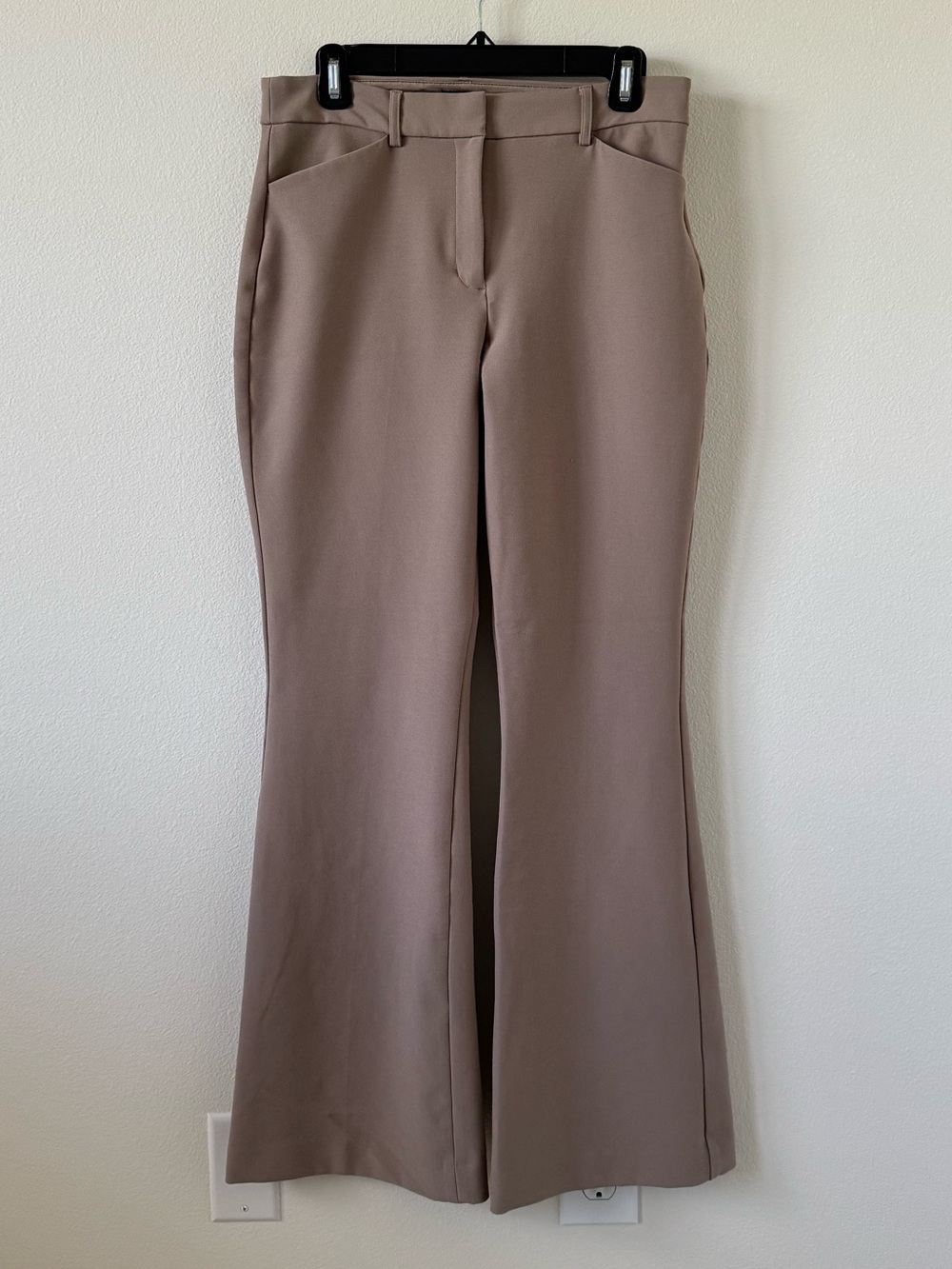 Express editor wide leg pants
